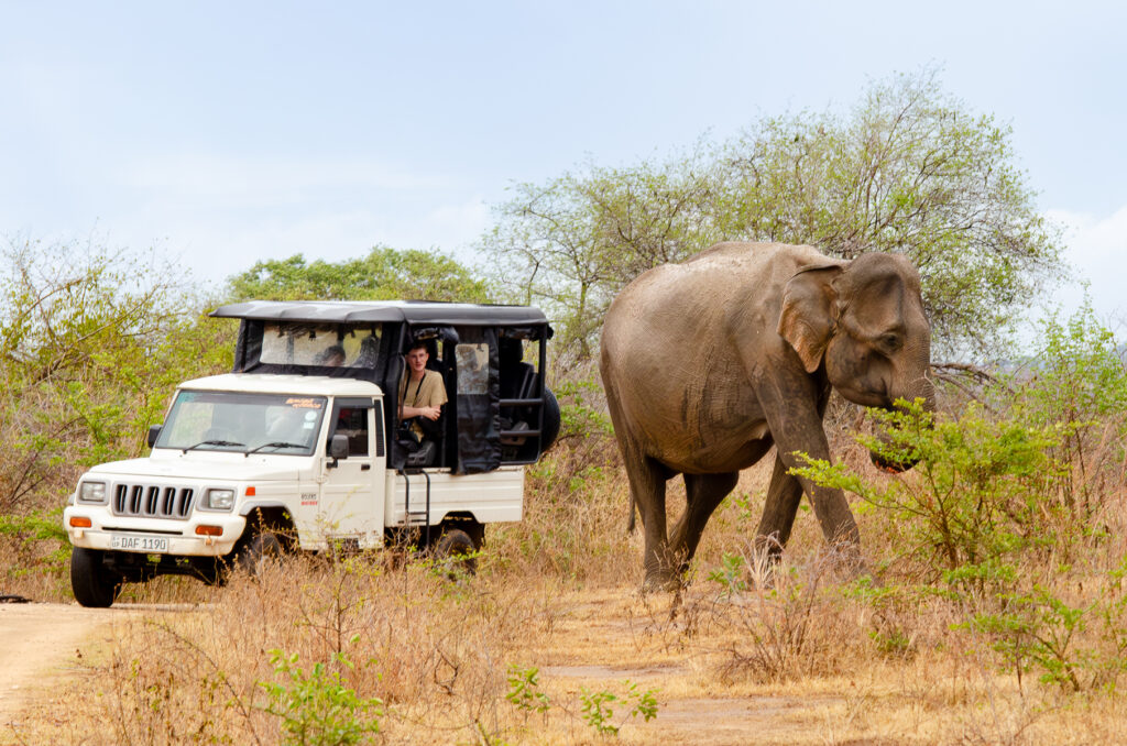 Safari-Jeep-udawawala | sedara Lanka Tours